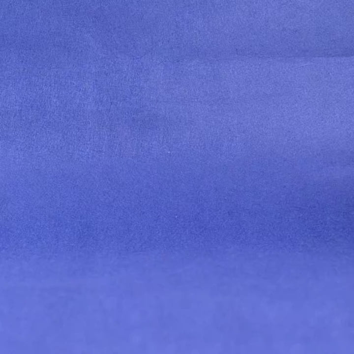 RC Spray Bee Robot Toy | Remote Control Insect with Mist Spray, LED Lights & Music